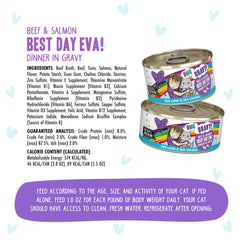 Serving Weruva in a cat bowl emphasizes easy meal presentation.