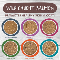 Weruva Classic Stews salmon gravy image, supports healthy coat and hydration.