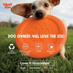 West Paw Zogoflex Zisc floating disc for water-friendly play