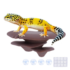 Westant mushroom decor cocoa trio-cap adds natural hiding spots for geckos.