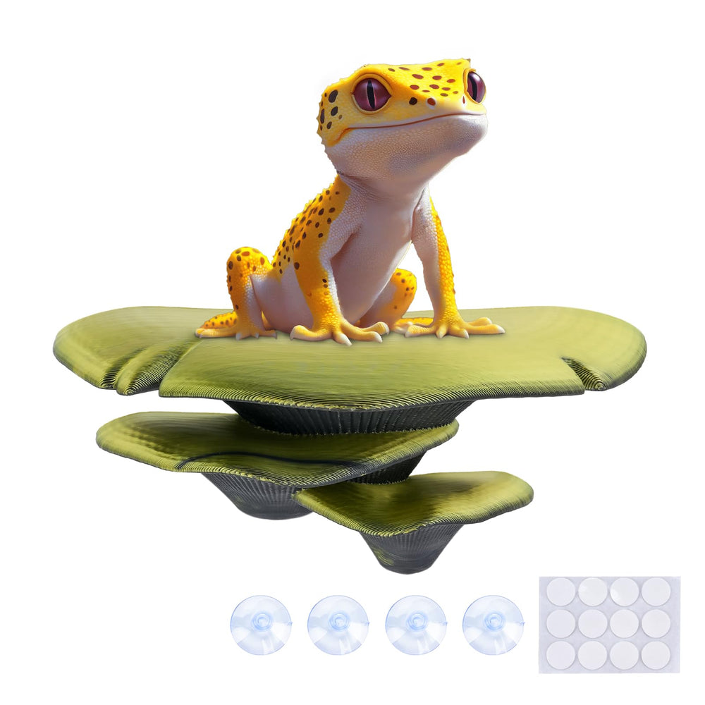 Westant forest cap mushroom decor in tank provides natural hiding spots for reptiles.
