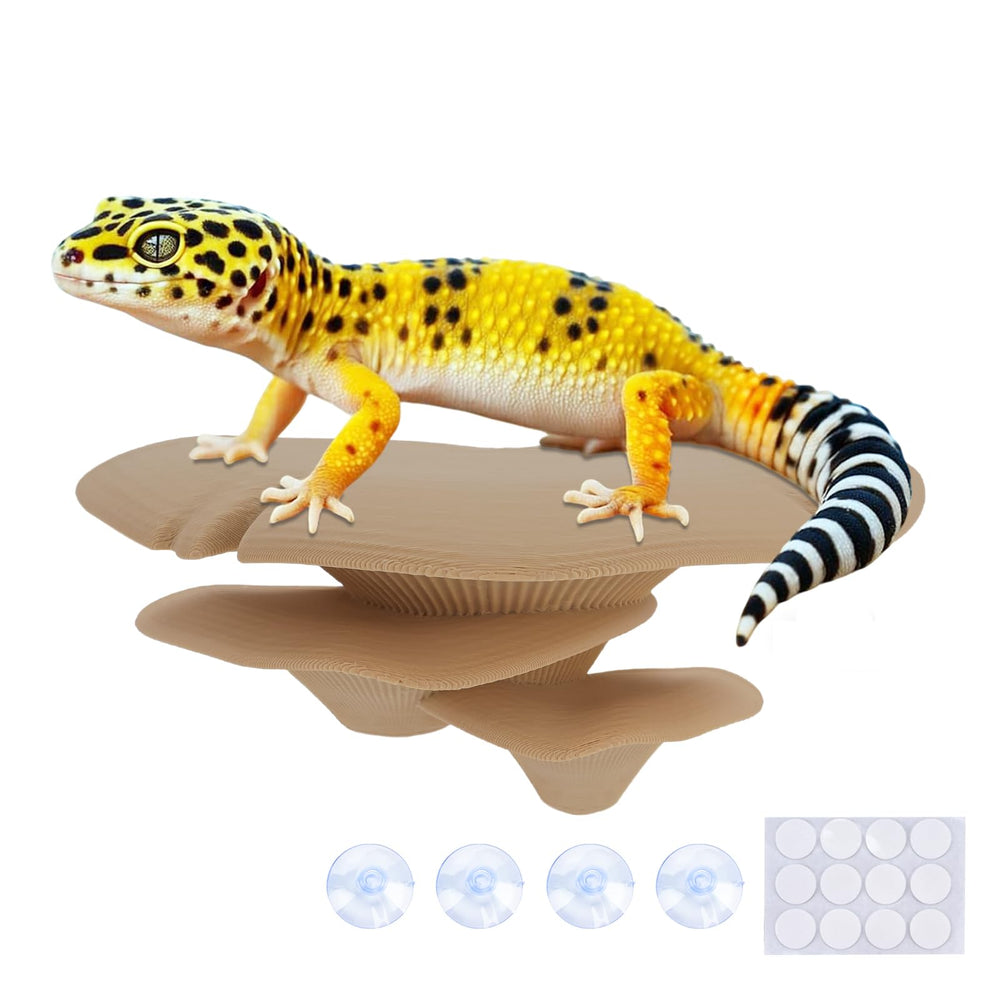 Westant rainbow trio cap mushroom decor for reptile tanks with color-rich accents