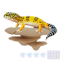 Westant rainbow trio cap mushroom decor for reptile tanks with color-rich accents