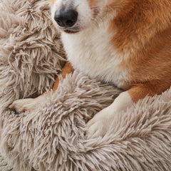WESTERN HOME WH Calming dog bed size options help you find the right fit.