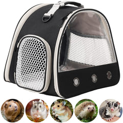 WEVONIGU transparent window travel cage lets you check your gecko easily.