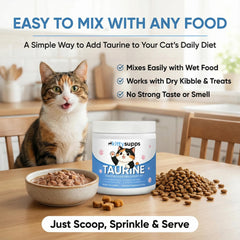 WGYPEU KittySupps Taurine mixed into wet food for balanced nutrition