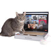 WHAT DO YOU MEME ScratchPad Pro laptop scratcher for durable indoor cat play.