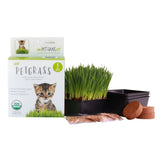 Wheatgrass Kits Handy Pantry cat grass kit with three trays for easy indoor growing.