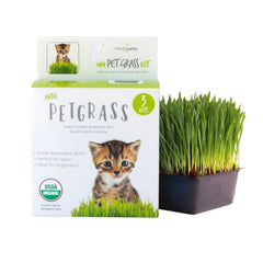 Non-GMO wheatgrass seeds in resealable pack for fresh pet treats.