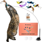 Whiskertons bird toy setup invites indoor cats to engage in active play.