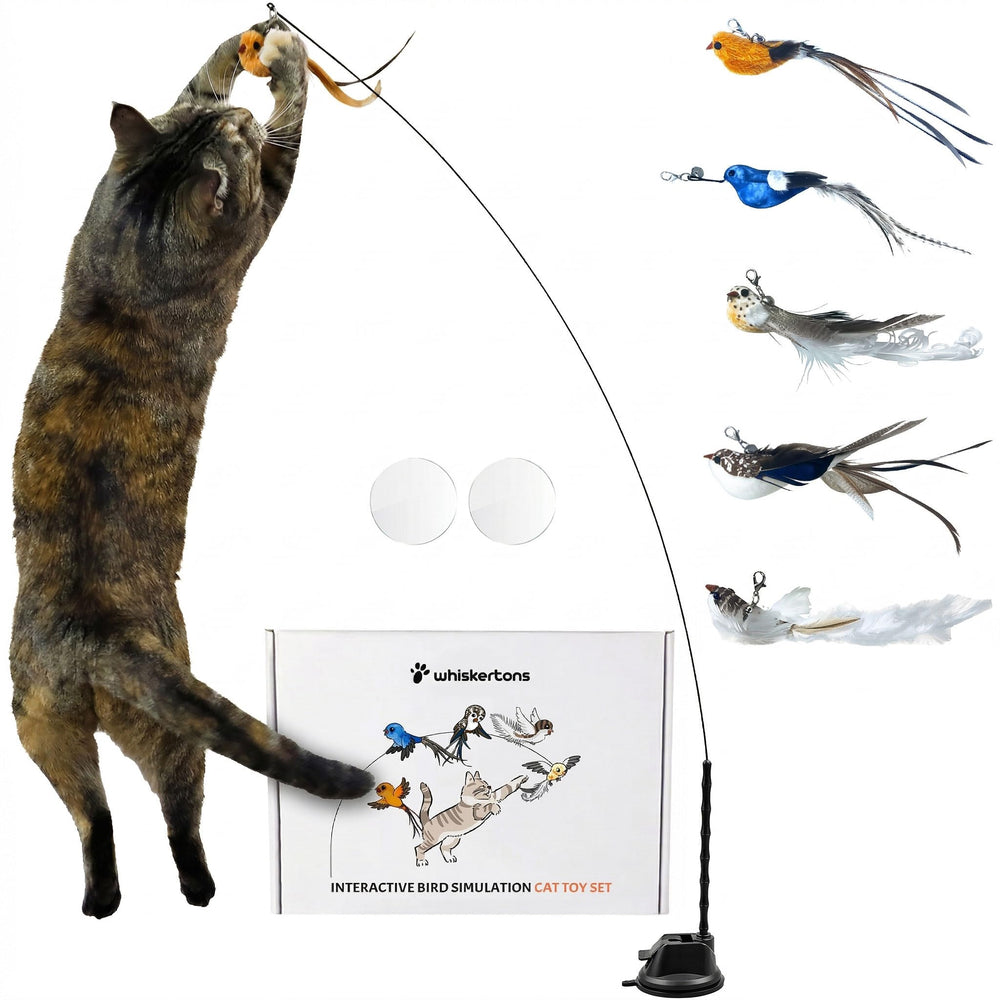 Whiskertons interactive bird toy base ready for independent play