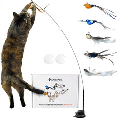 Whiskertons interactive bird toy base ready for independent play