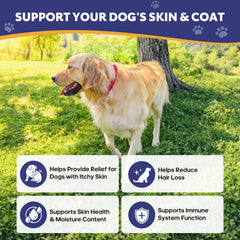 Whiskopia Allergy Relief Chews dog paw β helps soothe itching and hot spots.
