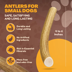 WhiteTail Naturals deer antler chews for small dogs, 4-6 inch length, durable.