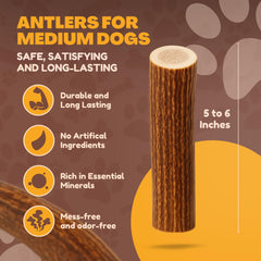 WhiteTail Naturals deer antler dog chew, Texas-made, durable for gentle chewers.