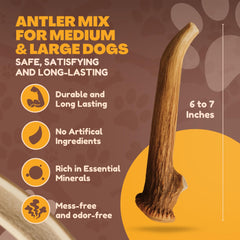Edges sanded on WhiteTail Naturals antler for safer indoor chewing