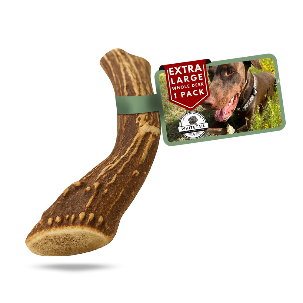 WhiteTail Naturals extra-large deer antler chew for large dogs, long-lasting engagement