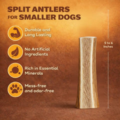 Three-pack for small to medium dogs, elk antler chews