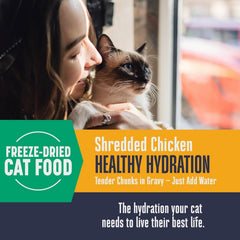 Whole Life Pet Freeze Dried Cat Food broth in a bowl, instantly hydrating and flavorful.