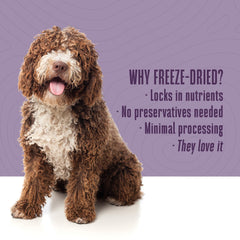 Whole Life Pet Just One Chicken bites; compact protein-packed training bites