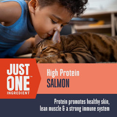 Whole Life Just One Salmon treats in breakable pieces for portion control