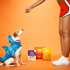 WholeHearted packaging highlights real chicken first ingredient, signaling a high-protein option for dogs.