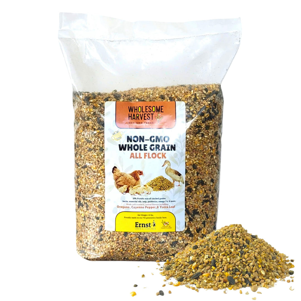 Wholesome Harvest All Flock Feed bag-front view highlights whole grain nutrition for poultry.