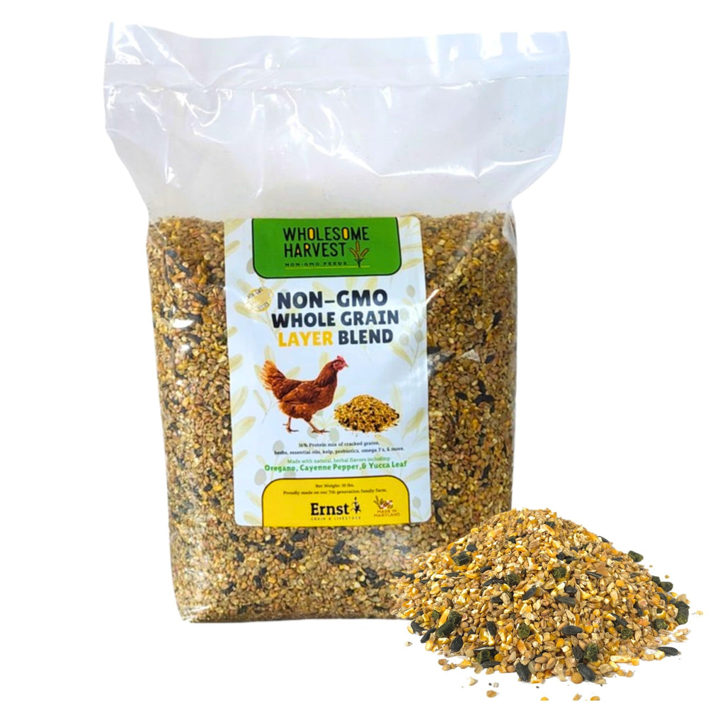 Wholesome Harvest layer blend bag closeup highlighting non-GMO formula for yolk quality.