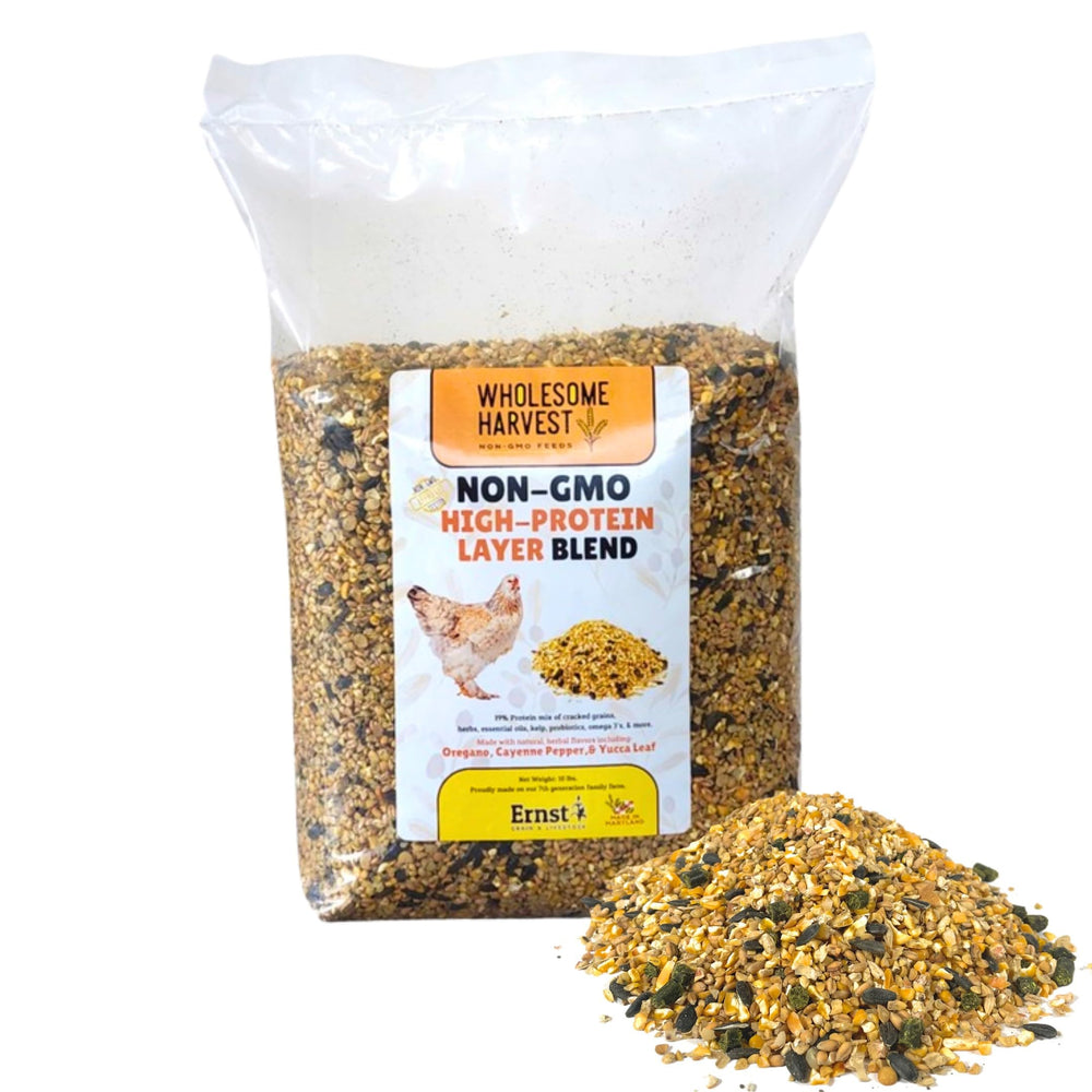 Wholesome Harvest non-GMO layer blend in bag supports steady egg-laying
