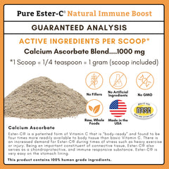 Mixing powder into dog food during mealtime for seamless integration.