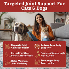 Wholistic Pet Organics Glucosamine Chondroitin MSM powder for joint health.