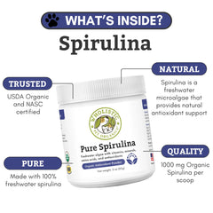 Wholistic Pet Organics spirulina powder beside dog and cat meals for daily nutrition.