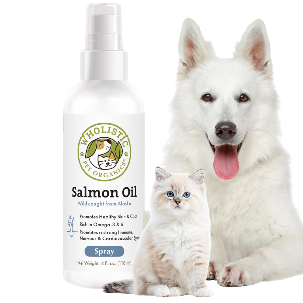 Wholistic Pet Organics salmon oil bottle shows pure omega-3 for pets