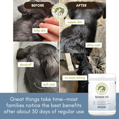 Wholistic Pet Organics salmon oil for cats helps calm itchy skin.