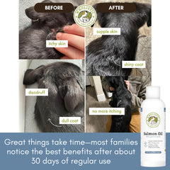 Wholistic Pet Organics salmon oil helps dogs eat more with tasty flavor