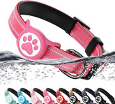 WhoseID Airtag Dog Collar with AirTag holder for easy pet tracking during walks.
