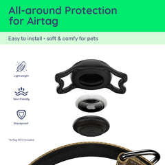 WhoseID padded neoprene collar offers comfortable wear on long walks