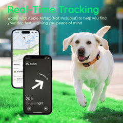 WhoseID original pattern dog collar adds stylish flair to walks.