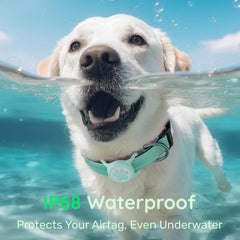 WhoseID green AirTag holder on collar, waterproof and ready for outdoor adventures