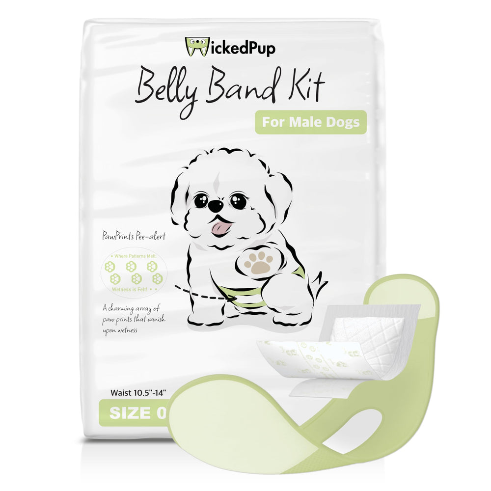 WICKEDPUP Belly Band Kit with PawPrints Pee-Alert signals when to change