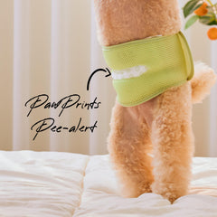 WICKEDPUP reusable pad holder keeps booster pads organized during travel.