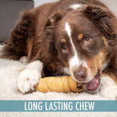 Wild Eats raw-hide-free chewâgrain-free and safe alternative.