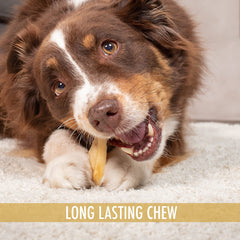 Rawhide-free label on Wild Eats Water Buffalo Ear Chews signals safer alternative.