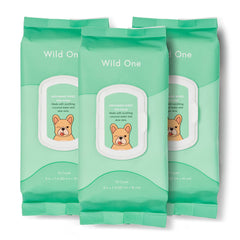 Wild One eucalyptus dog grooming wipes pouch front for on-the-go cleaning between baths