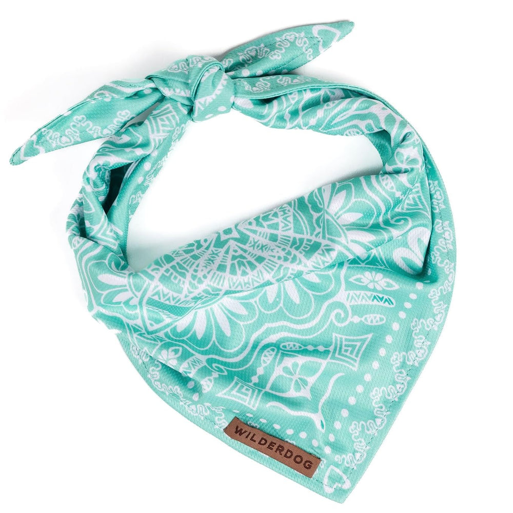 Wilderdog quick-dry mesh bandana in Agave, ready for outdoor adventures