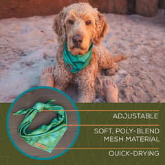 Wilderdog bandana shown being soaked for natural cooling before activity.