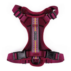 Wilderdog Huckleberry front view harness for everyday visibility