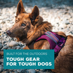 Wilderdog Huckleberry with side-release buckles for quick fitting