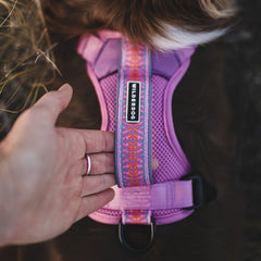 Wilderdog harness neck strap adjustment detail for a snug fit