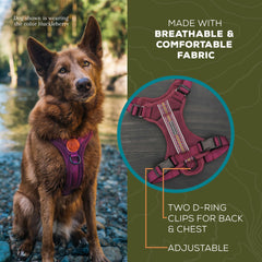 Wilderdog Huckleberry lightweight harness close-up of reflective stripes for night visibility